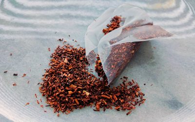 Rooibos Tee Sein Ursprung, seine Geschichte und seine Kultivierung