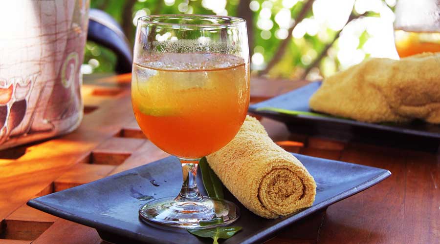 iced tea is a hot beverage trend in the hospitality industry semper tea