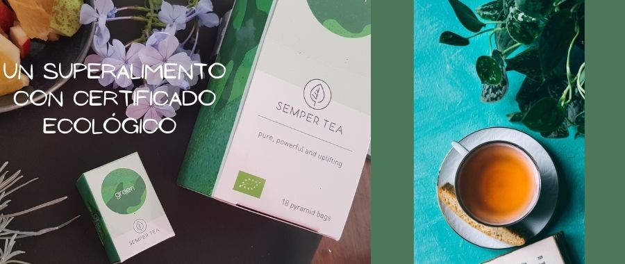 Beneficios y propiedades del té verde