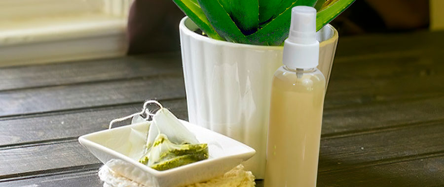 green tea with aloe vera for burned skin SEMPER TEA